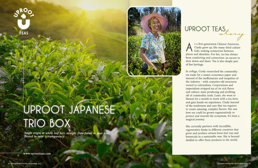 Japanese Trio Box Featured in Anaheim Magazine