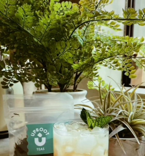 Japanese Tea Heritage: Unveiling the Stories of Sencha, Genmaicha, and Hojicha