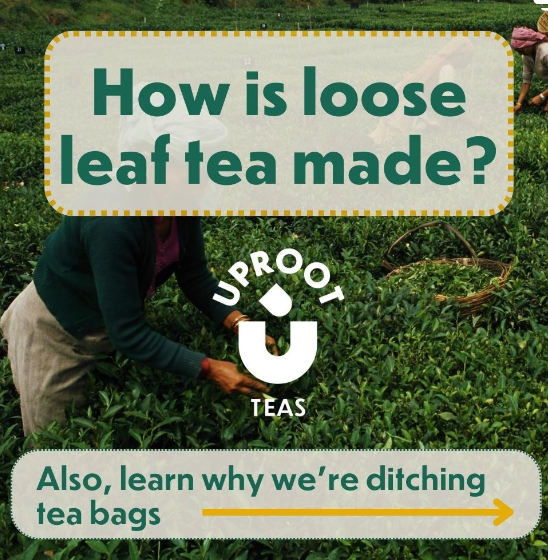 Tea Uprooting Crafting Excellence: Unveiling the Art of Loose Leaf Tea Creation at U ...