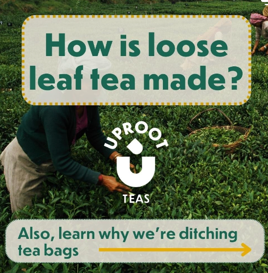 Crafting Excellence: Unveiling the Art of Loose Leaf Tea Creation at Uproot Teas